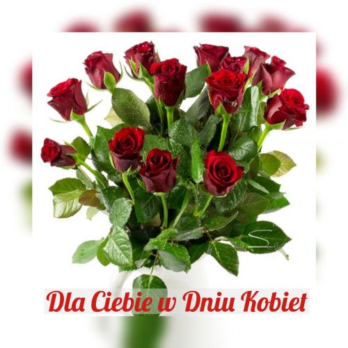 Bordowy bukiet róż w dniu kobiet